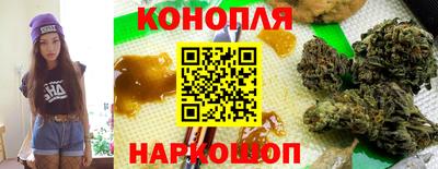 прущие крисы Славгород