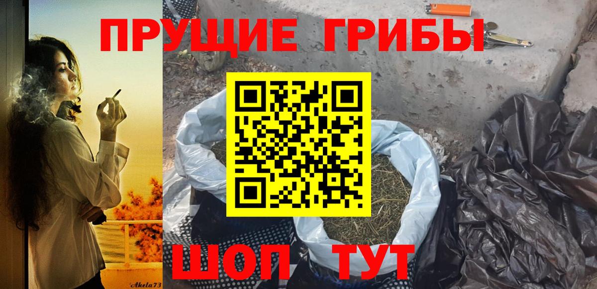 Ртищево  Галлюциногенные грибы Psilocybe  Вход с VPN 